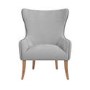 Wingback Armchair with Button Detail in Grey Velvet - Jade Boutique