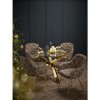 GRADE A1 - Set of 2 Leopard Print Velvet Dining Chairs with Gold Legs - Lara