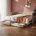 LNC003 Double Wooden Day Bed with Trundle and Storage in Taupe - Lincoln