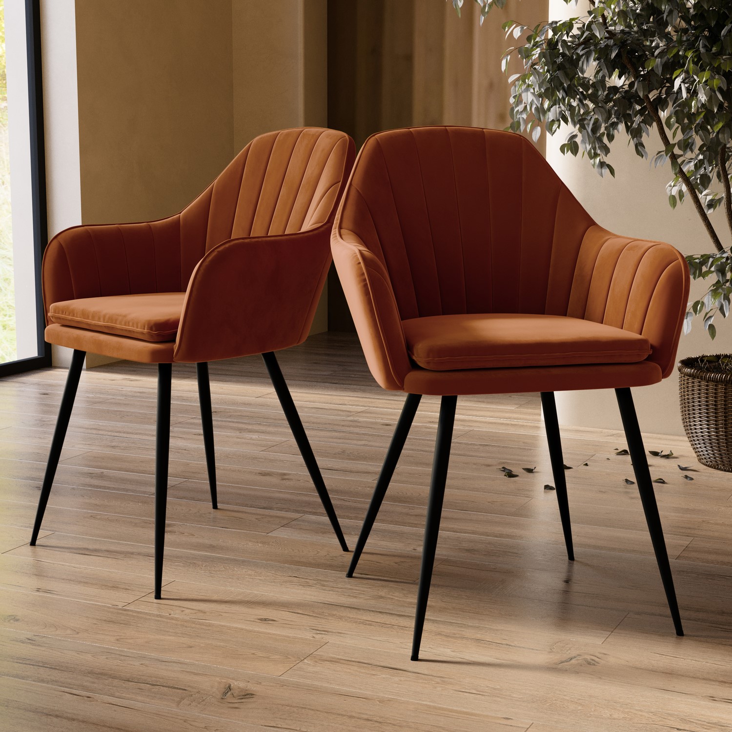 Set Of 2 Orange Velvet Dining Tub Chairs With Black Legs Logan Furniture123 Set Of 2 Orange Velvet Dining Tub Chairs With Black Legs Logan Furniture123