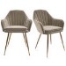 Set of 2 Mink Velvet Dining Chairs with Gold Legs - Logan