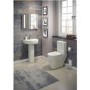 Curve Back to Wall Toilet with Soft Close Seat