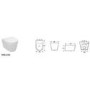 Curve Wall Hung Toilet with Soft Close Seat