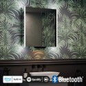 LS30192T0 Sensio Luka Double Door Chrome Mirrored Bathroom Cabinet with Lights, Built in Alexa and Bluetooth 660 x 700mm