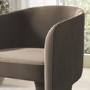 Mink Velvet Curved Accent Chair - Lyanna