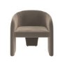 Mink Velvet Curved Accent Chair - Lyanna