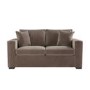 2 Seater Pull-Out Sofa Bed in Mink Velvet - Layton 