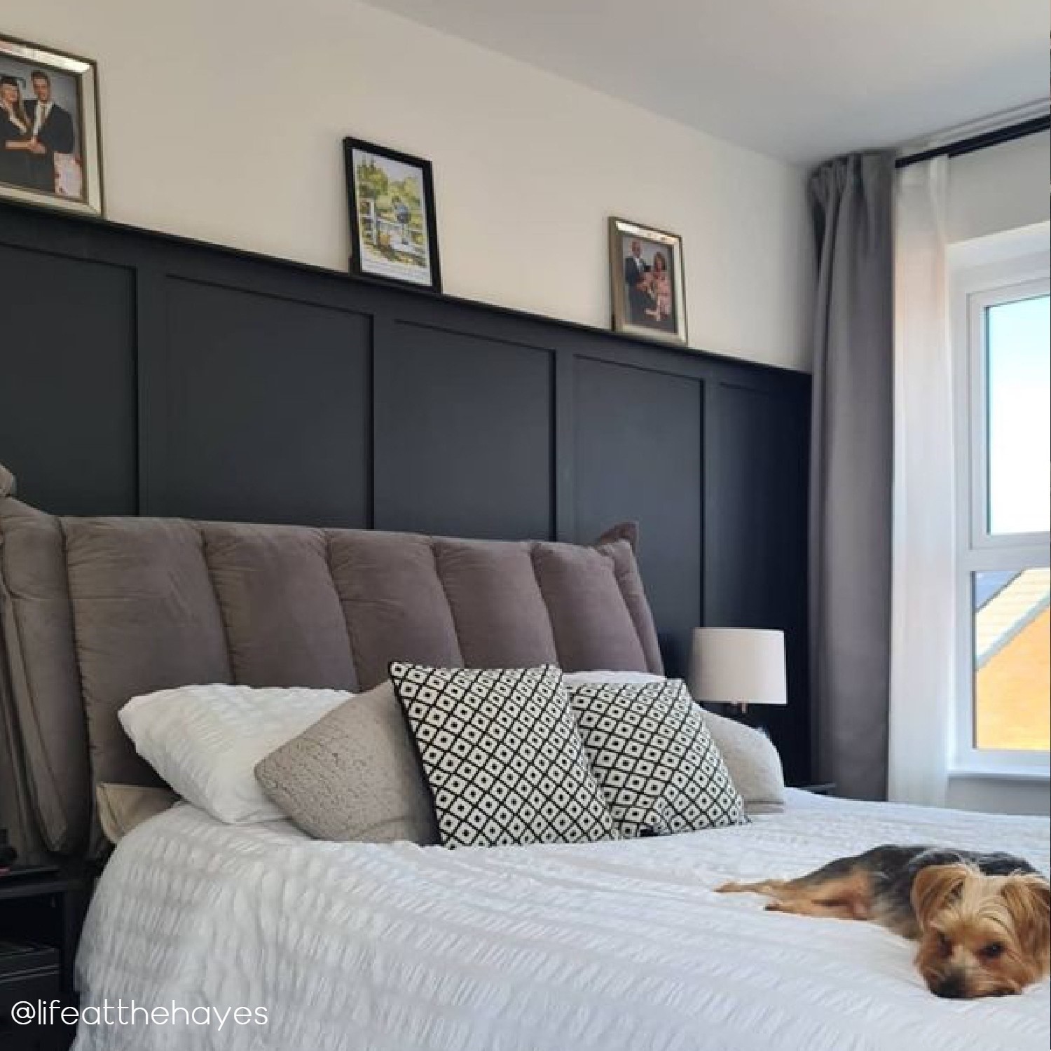 Grey Velvet Double Ottoman Bed with Cushioned Headboard Maddox