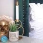 GRADE A2 - Green Velvet Double Ottoman Bed with Winged Headboard - Maddox