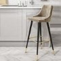 GRADE A2 - Maddy Mink Velvet Bar Stool with Black Legs and Gold Tips