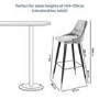 GRADE A2 - Light Grey Velvet Bar Stool with Back - 79cm - Maddy