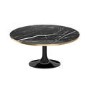 Black Marble Tulip Coffee Table in High Gloss