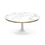 White Marble High Gloss Coffee Table in Oval Tulip Shape