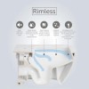 Wall Hung Rimless Toilet with Soft Close Seat - RAK Metropolitan