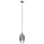 Silver Smoked Glass Cloche Pendant Light - Bloomfield