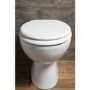 GRADE A1 - Standard Soft Close High Gloss White MDF Toilet Seat- Bottom Fix