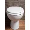 Standard Soft Close High Gloss White MDF Toilet Seat- Bottom Fix
