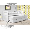 Matisse White Captain&#39;s Guest Bed with Storage - Trundle Included