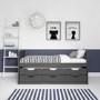 Matisse Captain's Guest Bed in Dark Grey/Anthracite - Trundle Bed Included