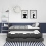 Matisse Captain's Guest Bed in Dark Grey/Anthracite - Trundle Bed Included