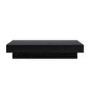 Rectangular Black Mango Wood Coffee Table - Neesha