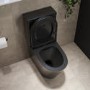 Matt Black Close Coupled Rimless Closed Back Toilet with Soft Close Seat - Newport