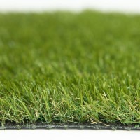 Aster 30mm Artificial Grass 2M Width x 1M