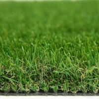 Royal 38mm Artificial Grass 4M Width x 10M