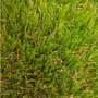 Royal 38mm Artificial Grass 4M Width x 10M