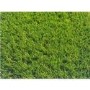 Ultimate 40mm Artificial Grass 2M Width x 10M