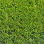 Ultimate 40mm Artificial Grass 2M Width x 6M