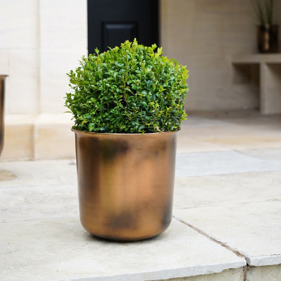 Antique Brass Outdoor Metal Planter Hampton - Ivyline 