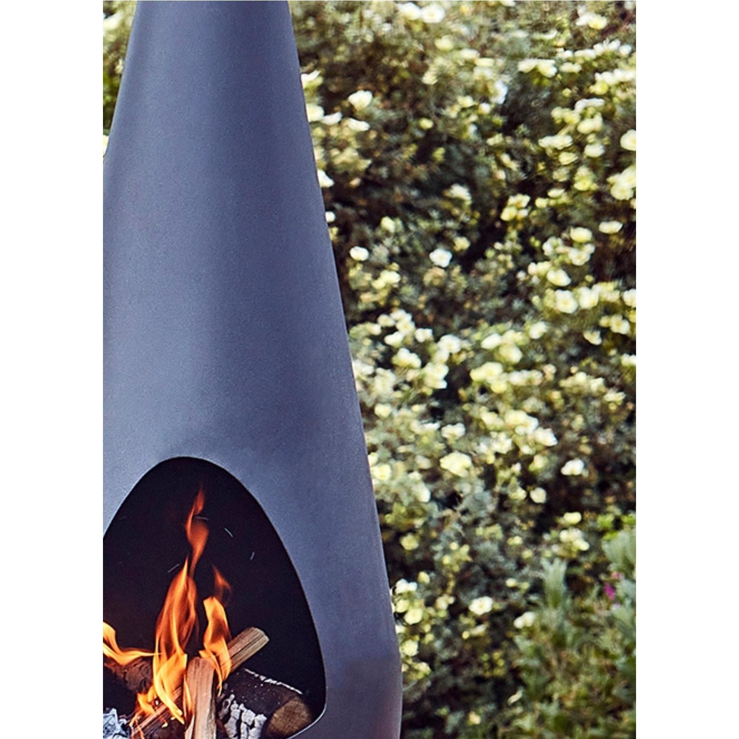 Read more about Ivyline outdoor leo fireplace in matt black & antique gold