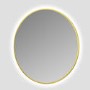 Round Brass Backlit Heated Bathroom Mirror with Lights 800mm – Orion