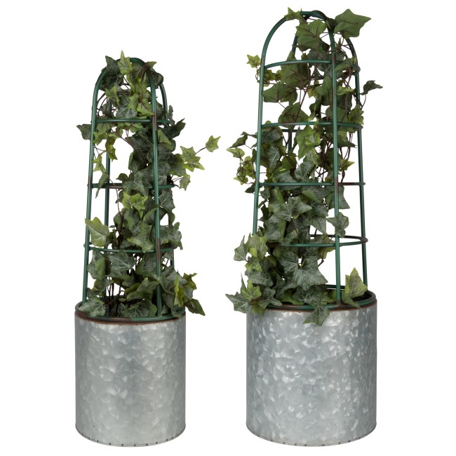 Garden Flowerpot with Plant Supports Set of 2