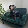 Pet Sofa Bed in Green Velvet - Suitable for Dogs & Cats -Payton