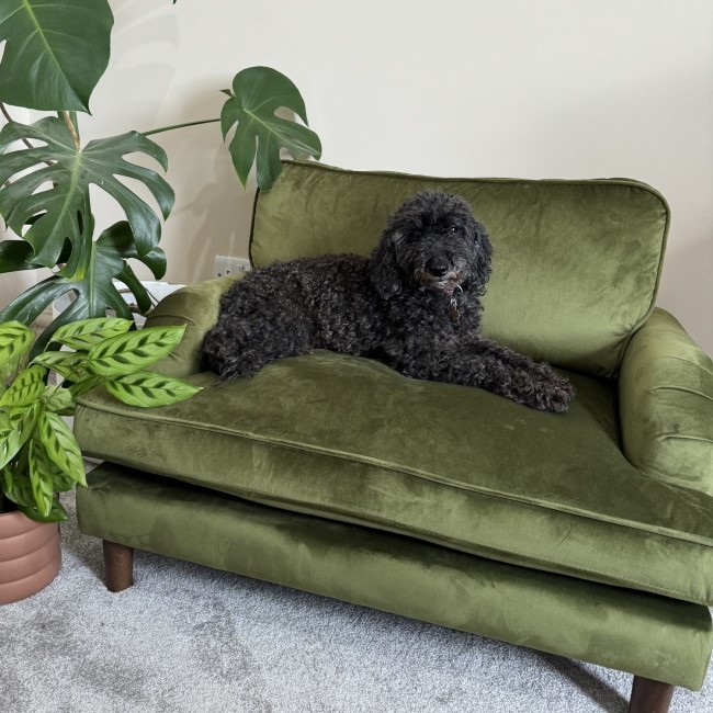 Pet Sofa Bed in Olive Green Velvet - Suitable for Dogs & Cats