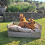 Large Rattan Outdoor Pet Bed