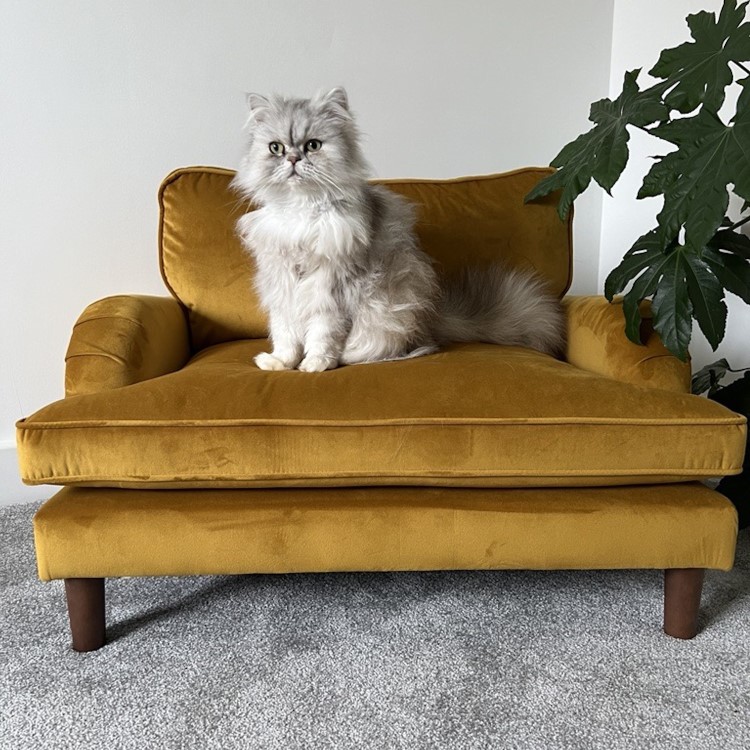 Pet Sofa Bed in Mustard Velvet - Suitable for Dogs & Cats