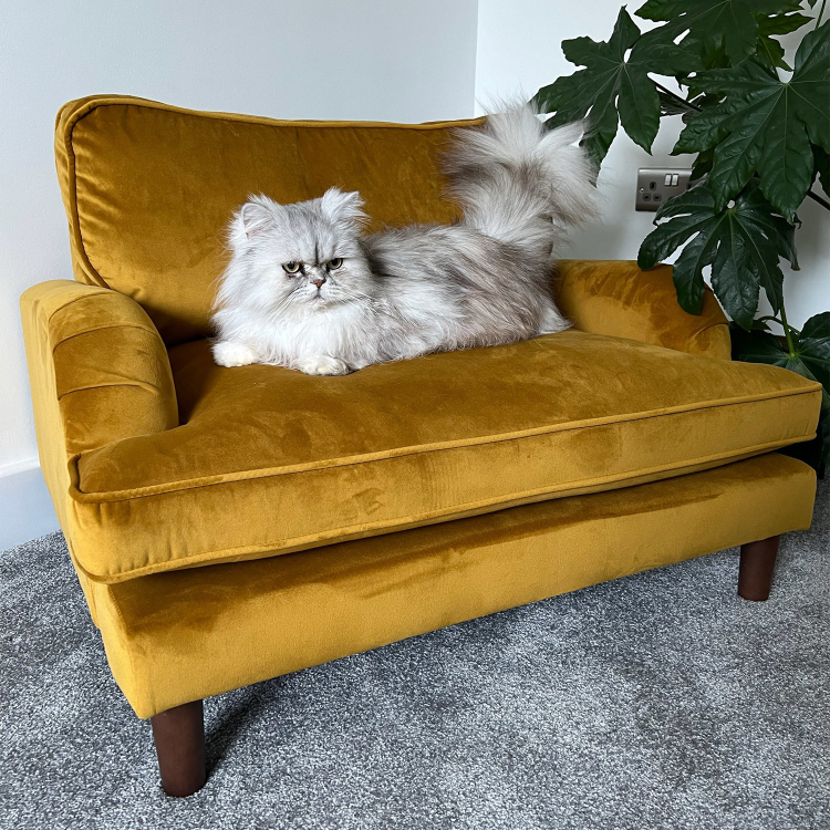 Pet Sofa Bed in Mustard Velvet - Suitable for Dogs & Cats