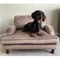 Pet Sofa Bed in Beige Velvet - Suitable for Dogs & Cats