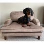 Pet Sofa Bed in Beige Velvet - Suitable for Dogs & Cats