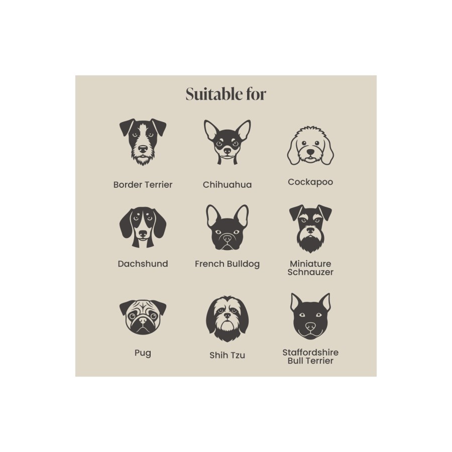 Dog Sofa Bed in Blue Velvet - Payton