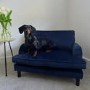Dog Sofa Bed in Blue Velvet - Payton
