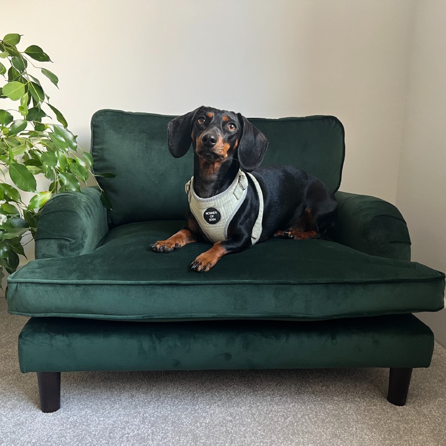 Green Velvet Dog Sofa Bed - Payton