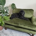 PFR015 Dog Sofa Bed in Olive Green Velvet - Payton