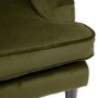 Payton Olive Green Velvet Pet Sofa - Suitable for Dogs & Cats