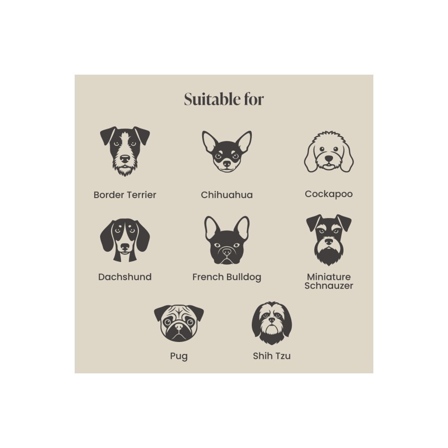 Dog Sofa Bed in Khaki Green Velvet - Hudson