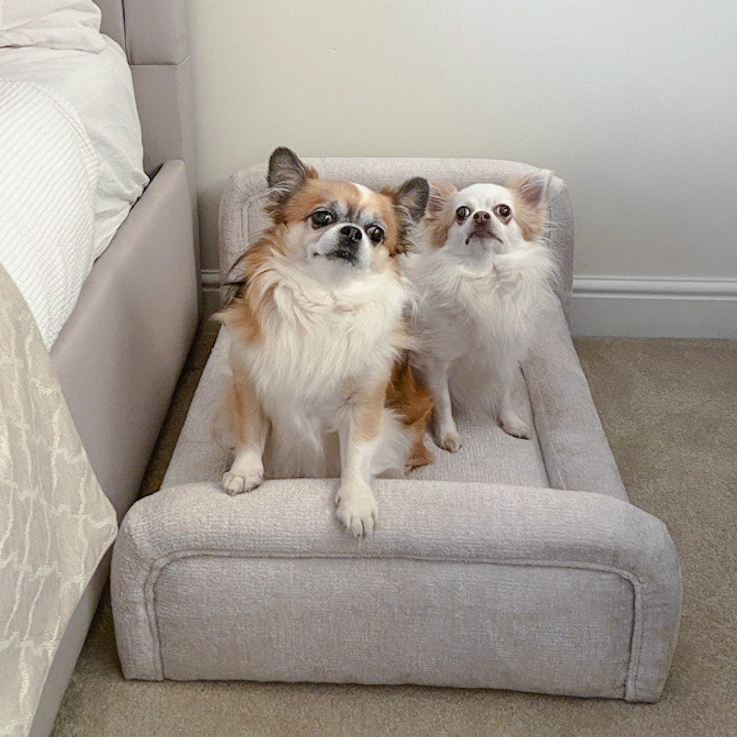 Small Dog Bed Textured Fabric Washable Cover