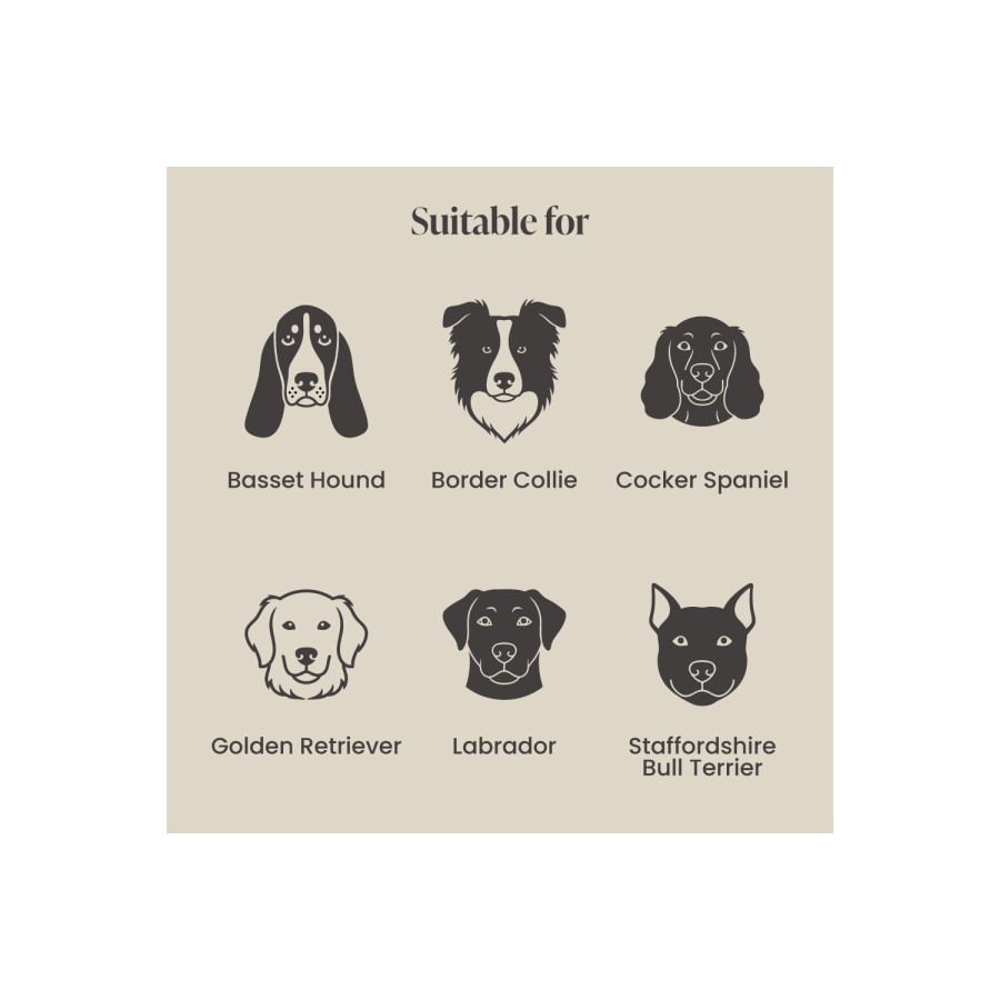 Large Dog Bed in Cream Textured Fabric with Washable Cover - Naomi